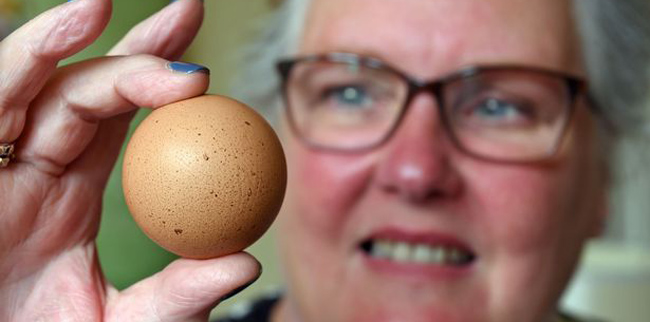 Woman finds perfectly round egg, sells it on Ebay