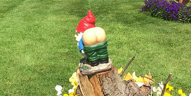 Gnomes’ arses cause fear and loathing in leafy Cheshire
