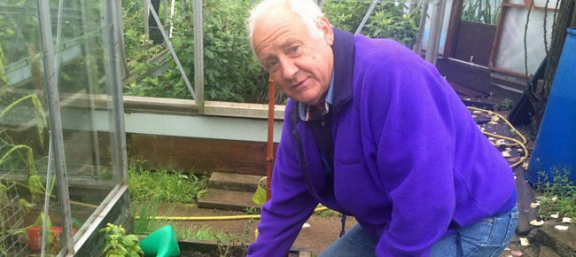 Allotment wars in Yarm as row over the price of onions spins out of control