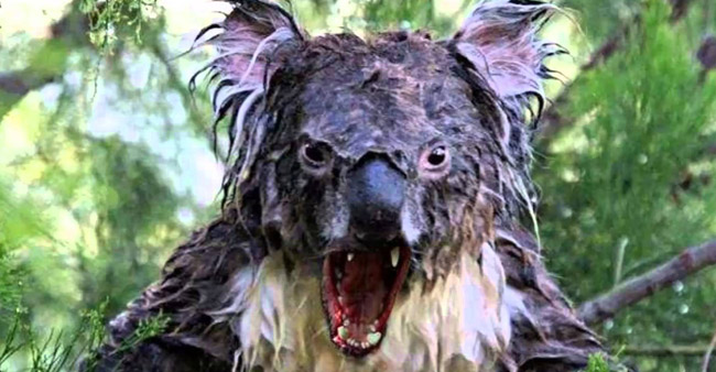 Scaryduck: Not Scary. Not a Duck: DROP BEARS: A WARNING