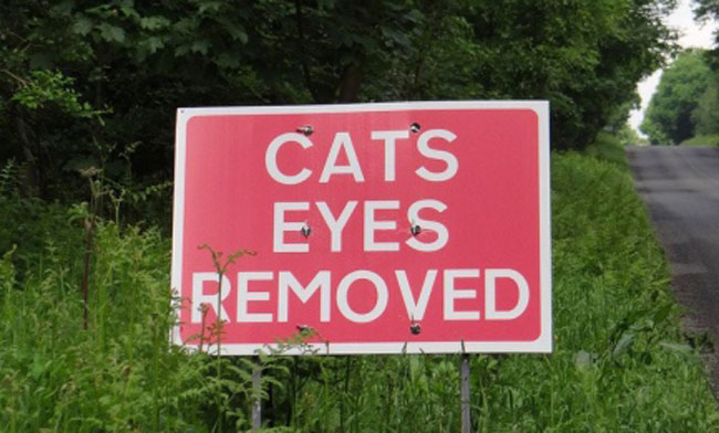 It’s political correctness gone MAD as the words ‘cat’s eyes’ are replaced by ‘road studs’ by council