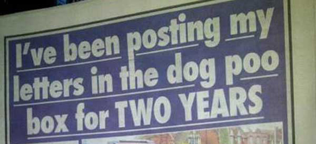 I’ve been posting my letters in the dog poo box for TWO YEARS and other weird news classics