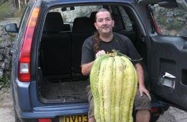 Man’s massive marrows result in a visit from the Old Bill over terrorism fears